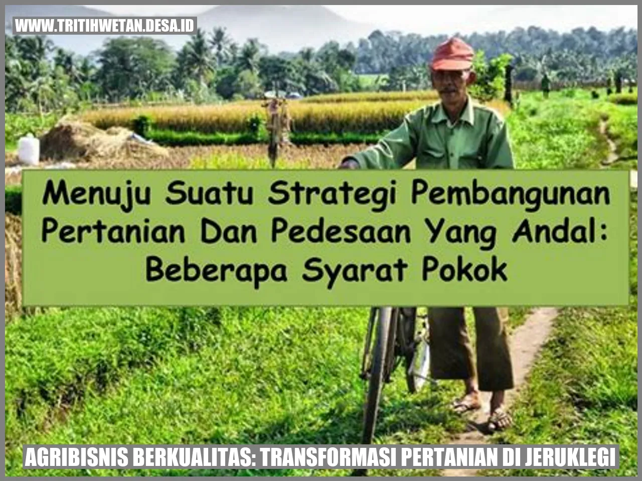 Agribisnis Berkualitas: Transformasi Pertanian di Jeruklegi